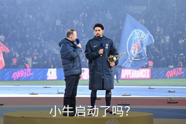 小牛启动了吗？